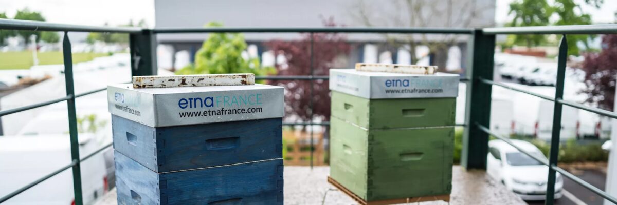 etnapiculture agence idf ruches sur le toit