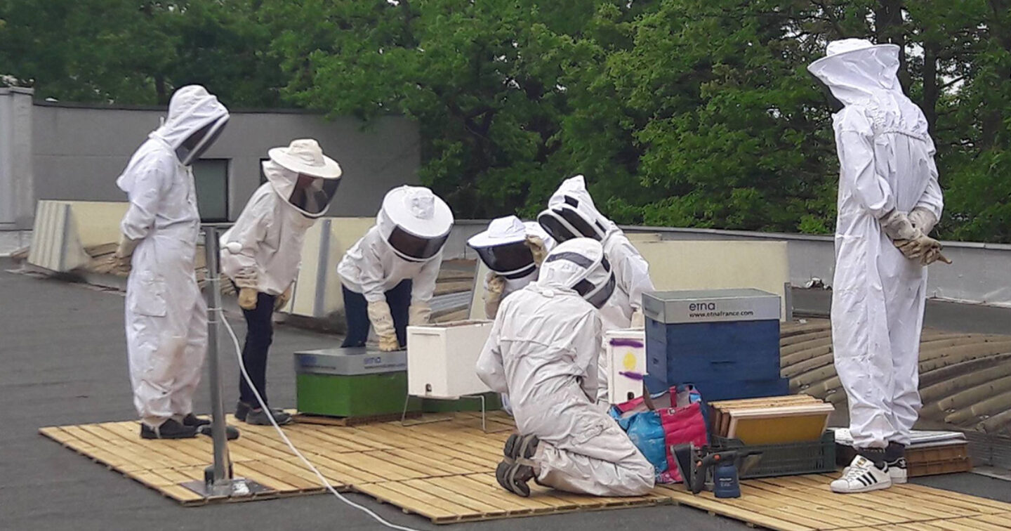etnafranceabeilles