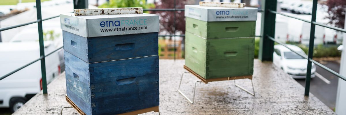 etnapiculture agence idf ruches sur le toit